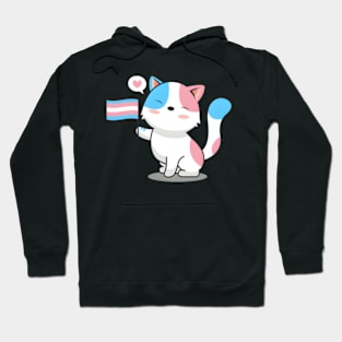 Cat Holding Transgender Pride Flag Hoodie